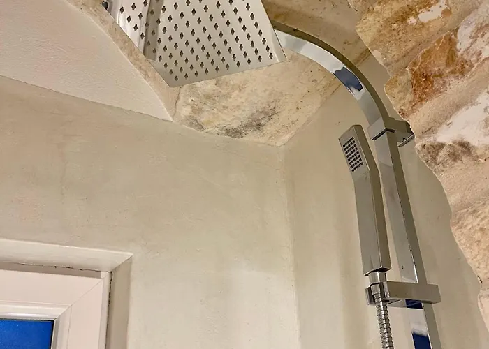 Il Malcantone 公寓 *